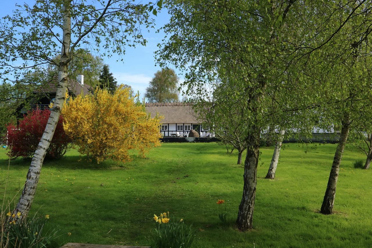 Birkelygaard Bed & Breakfast Hårby Eksteriør bilde